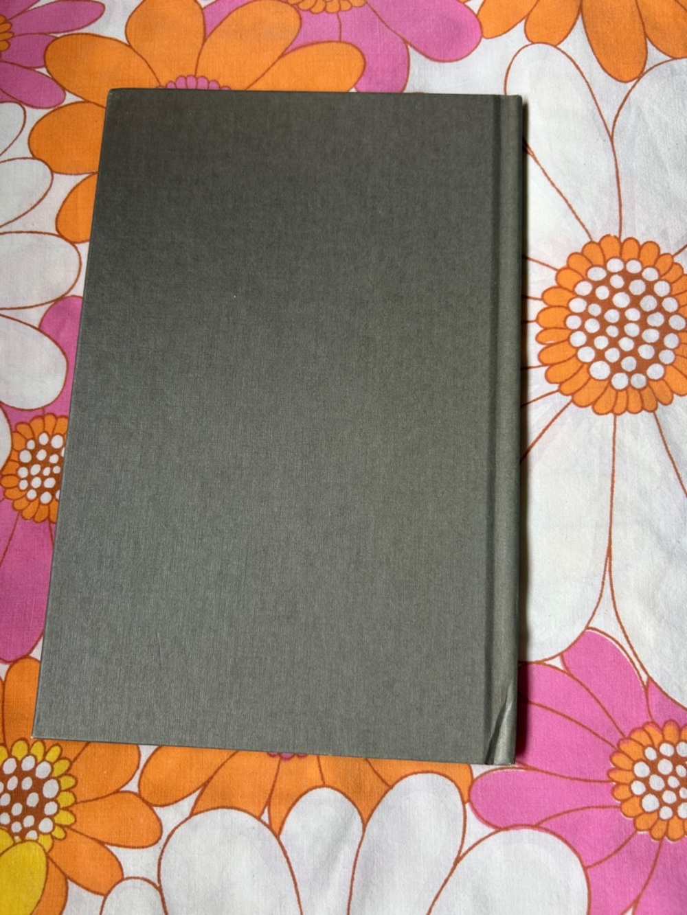 2 for $25 Vintage Serendipity Jake O'Shawnasey Green Parrot Hardcover book. - Picture 2 of 2